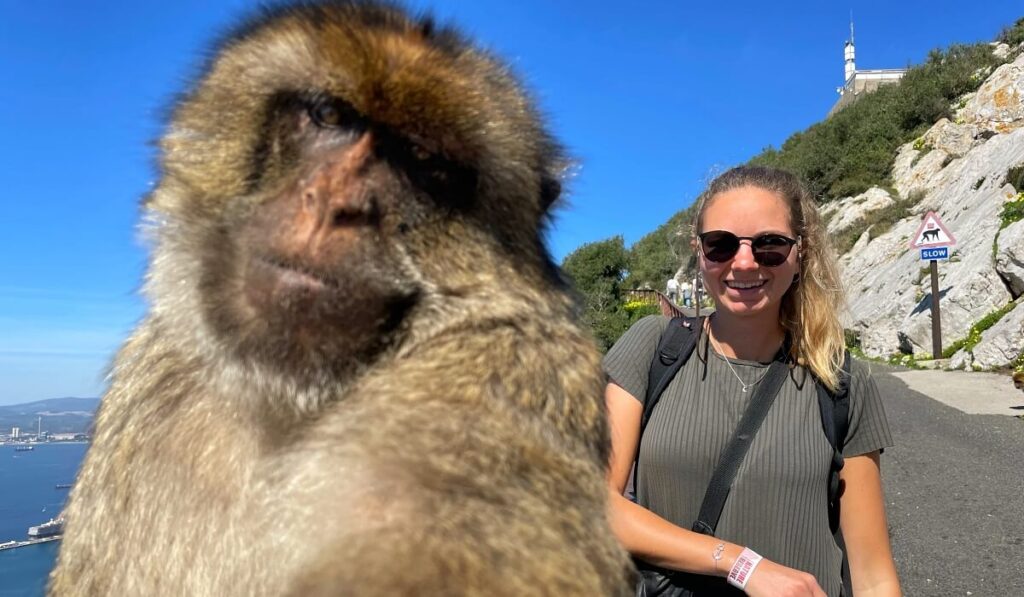 Ein Affen-Selfie in Gibraltar